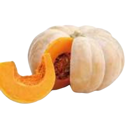 Ash Gourd Yellow Pumpkin