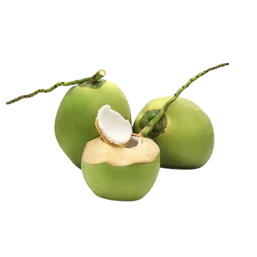 Tender_Coconut_-_नारियल_पानी